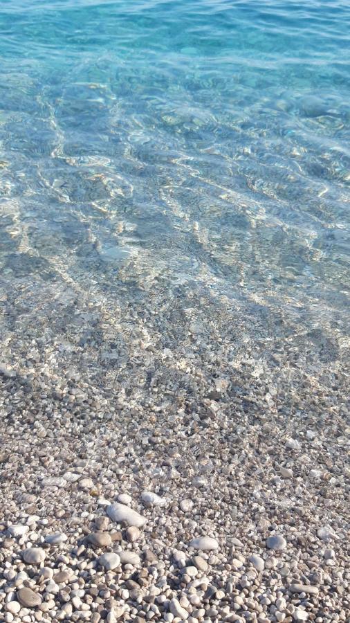 Apartament Fredi